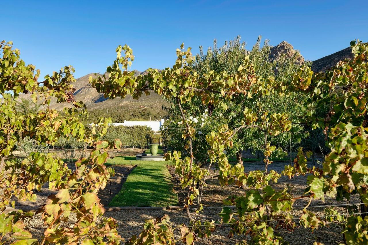 Jus Limin Hotel Montagu Bagian luar foto