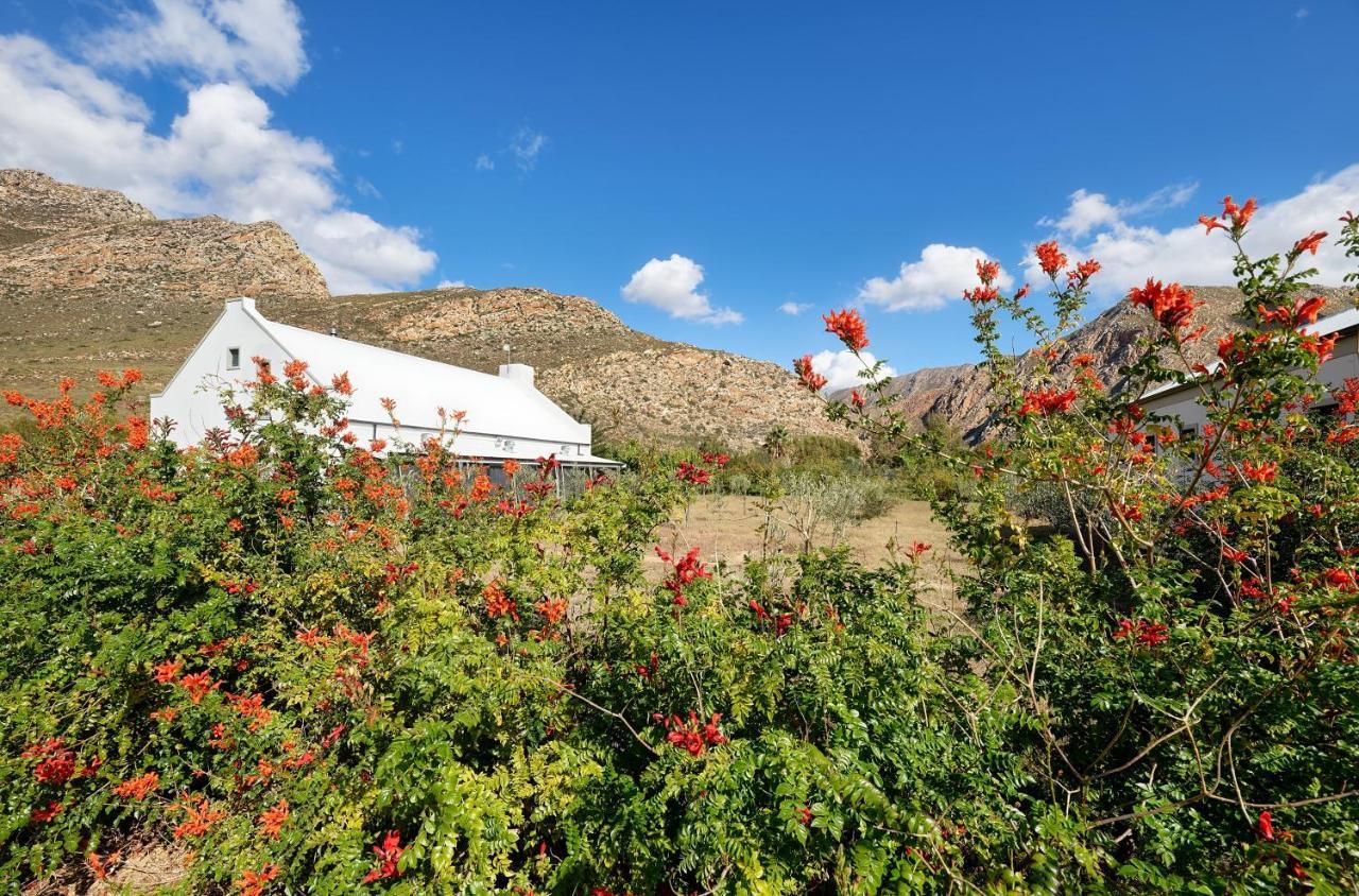 Jus Limin Hotel Montagu Bagian luar foto