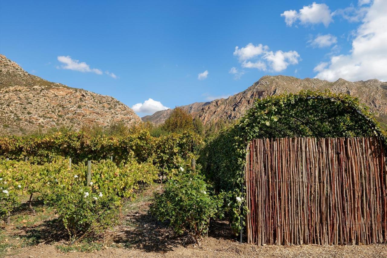 Jus Limin Hotel Montagu Bagian luar foto