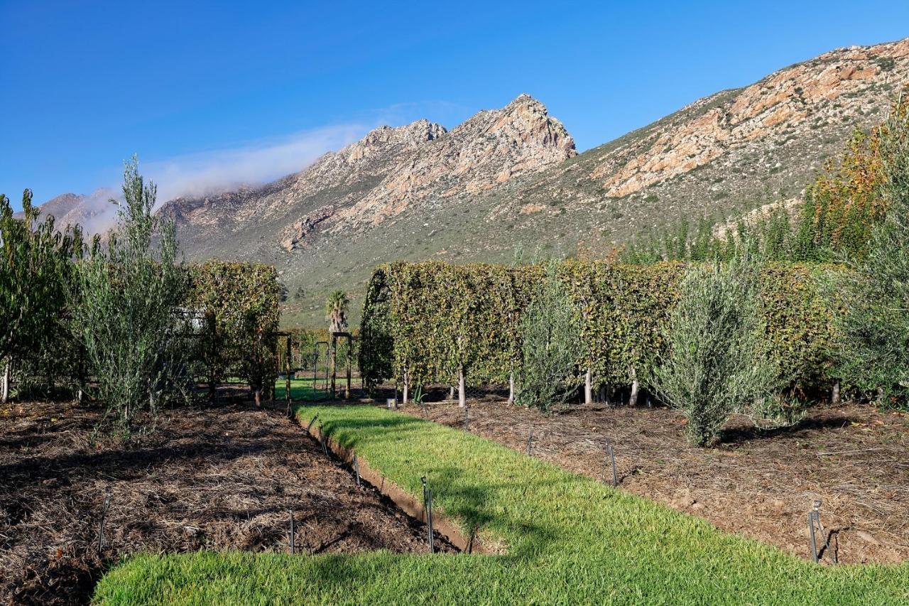 Jus Limin Hotel Montagu Bagian luar foto
